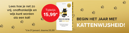 Goede Voornemens2026 545X140